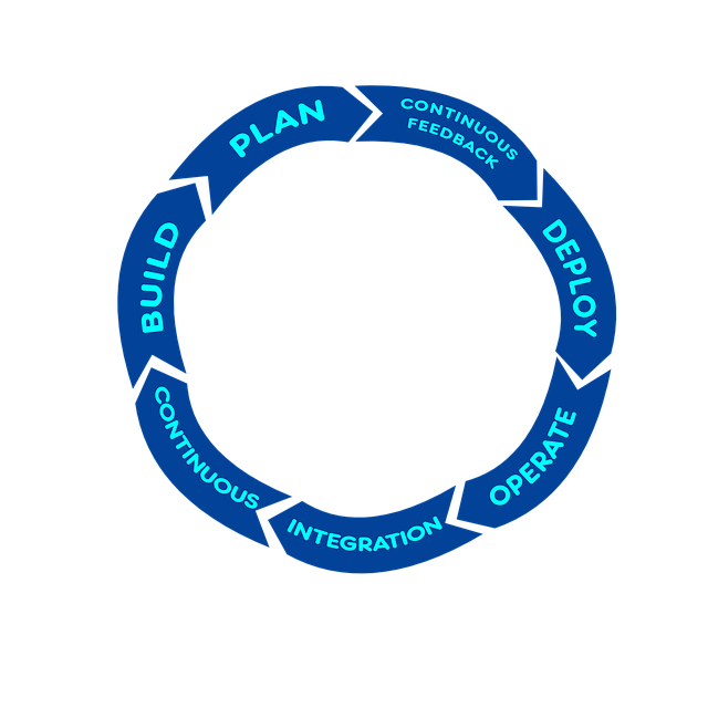Scheme of development cycle